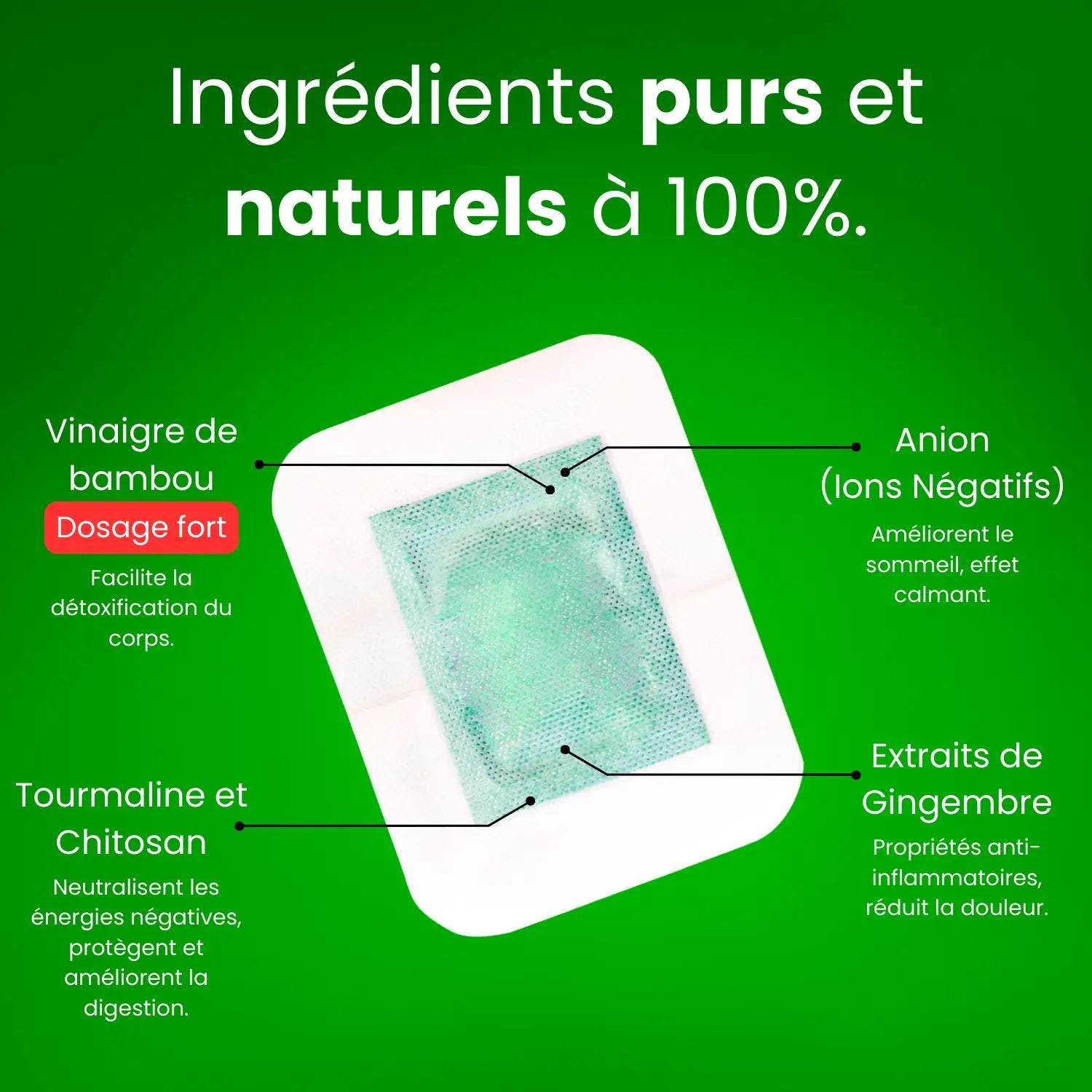 Ingrédients naturels des patchs détox Ecolife pour une détoxification efficace